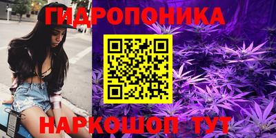 Альфа ПВП Тулун