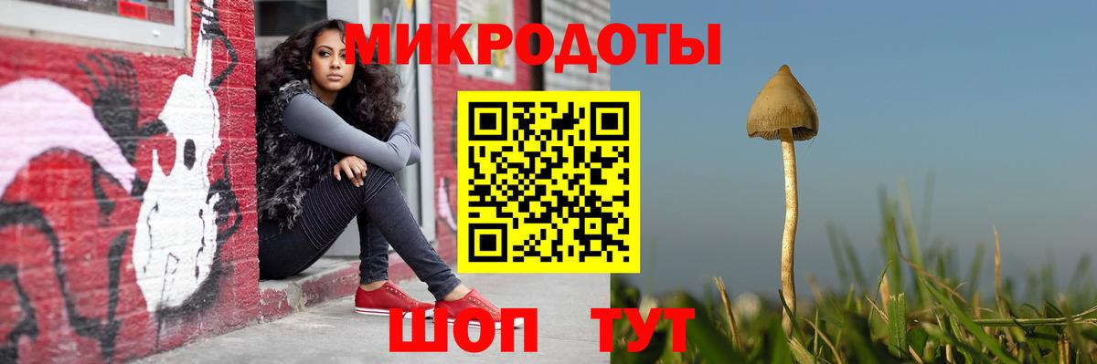 Сухой Лог  как найти наркотики  Вход с VPN  Галлюциногенные грибы MAGIC MUSHROOMS 